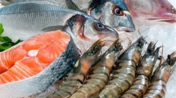 تغيرات جديدة في أسعار الأسماك والجمبري خلال تعاملات اليوم الاثنين 2 مارس